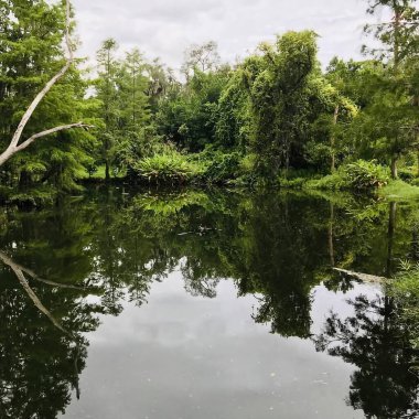 Güzel göl manzarası