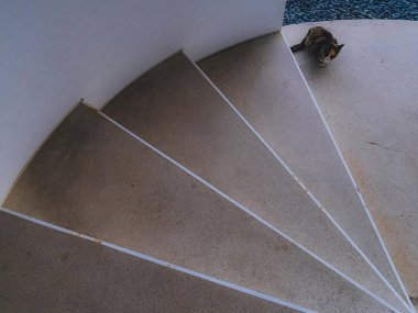 Şehirde merdiven var.