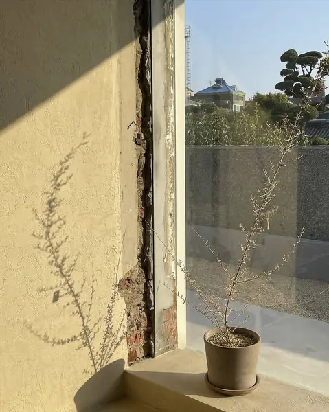 bir bardak su ile pencere