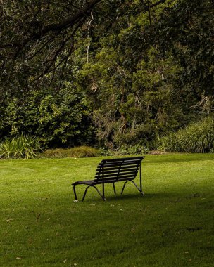 Yeşil parktaki bank.