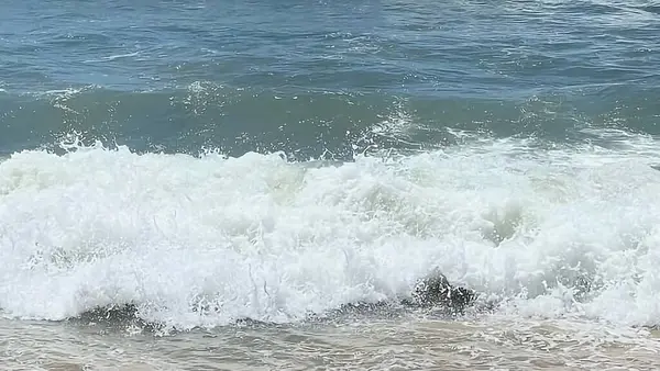 Dalgalar sahile çarpıyor.