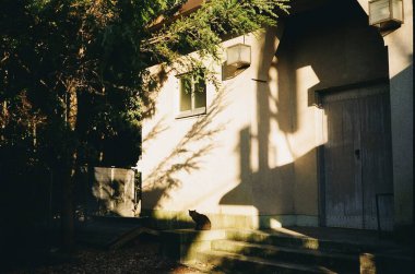 Şehirdeki eski bina.