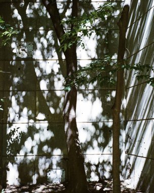 Şehirdeki terk edilmiş eski bina.