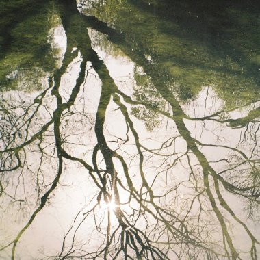 Ormanda nehri olan güzel bir manzara.