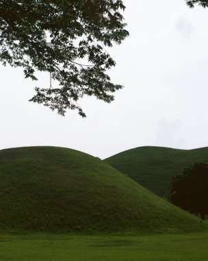 Ağacı ve dağı olan güzel bir manzara.