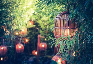 Güzel botanik fotoğrafı, doğal duvar kağıdı.