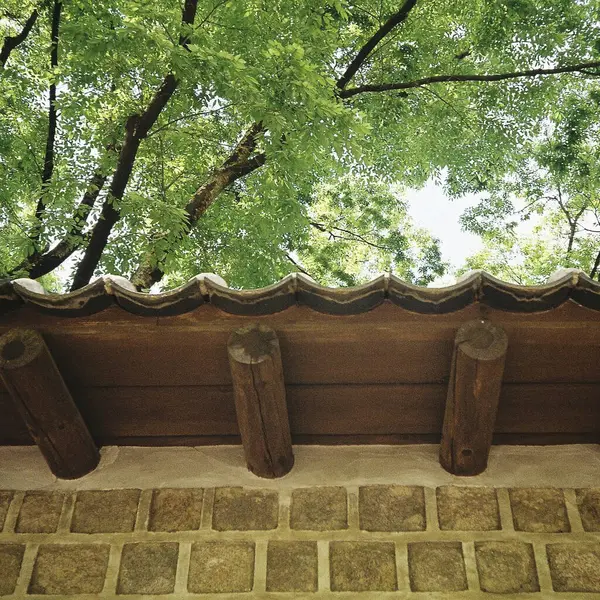 Parktaki eski ahşap ev.