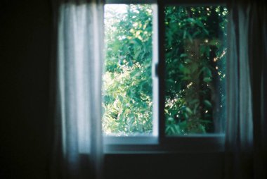 bir bardak su ile pencere