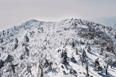 Karla kaplı dağlarla kaplı güzel kış manzarası