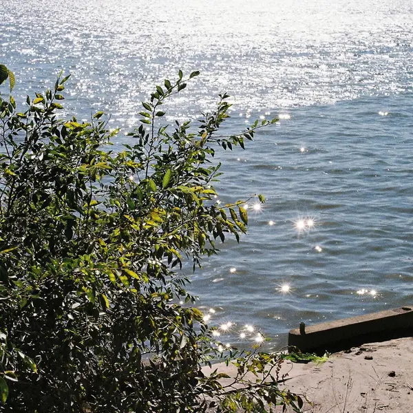 Güzel deniz manzarası