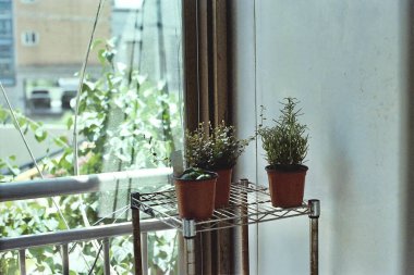 Modern bir evin içinde.