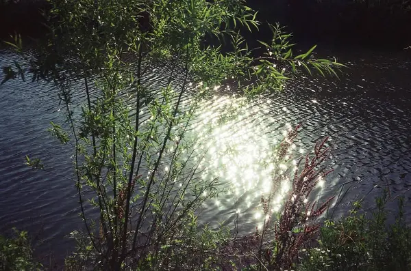 Ormanda güzel bir gün batımı