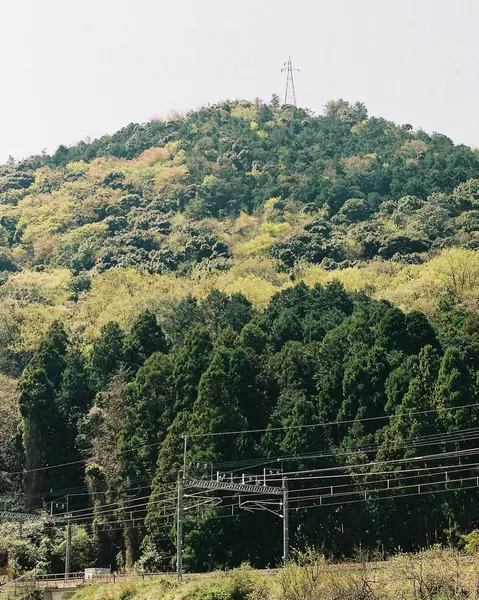 Şehrin güzel manzarası