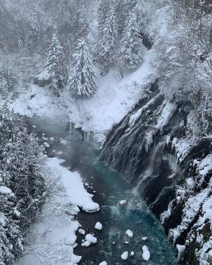Ormanda güzel bir şelale