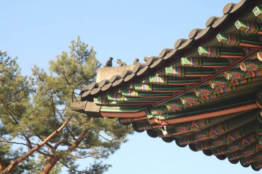 Geleneksel Çin tarzı çatı