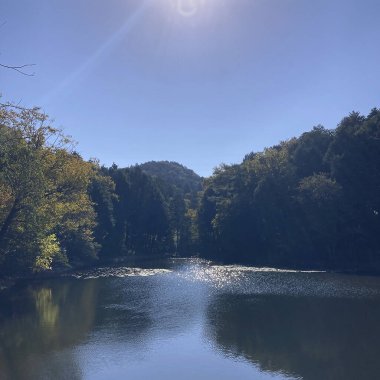 Ormandaki gölün güzel manzarası