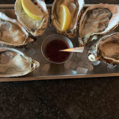 Buzlu taze istiridyeleri kapatın.