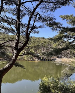 Parktaki gölün güzel manzarası