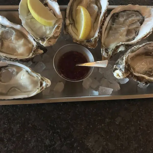 Buzlu taze istiridyeleri kapatın.