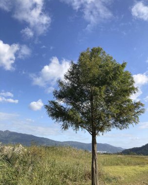 Doğanın güzel manzarası