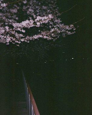 Parkın güzel manzarası