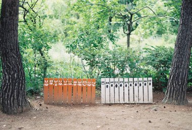 Parktaki ahşap bankta. yüksek kaliteli fotoğraf