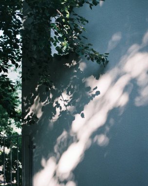 Bahçede yeşil yapraklar