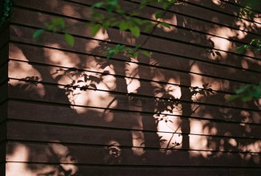 Ahşap dokunun soyut arkaplanı.