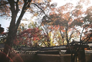 Şehirdeki sonbahar parkı