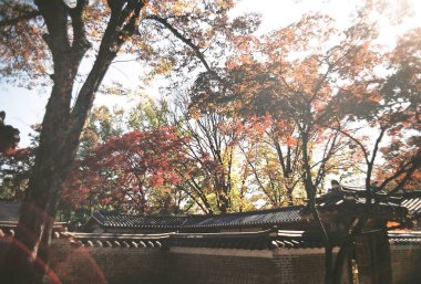 Parkın güzel manzarası