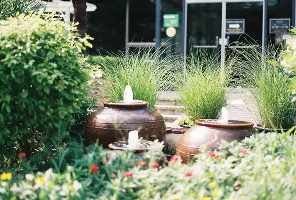 Dekoratif bitki ve saksıların dikey çekimi