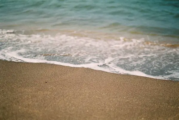 Sahilde deniz dalgaları