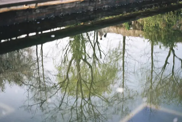 Parktaki köprünün manzarası