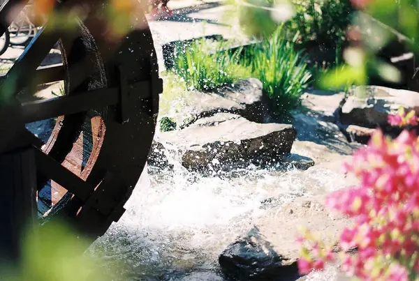 Parktaki güzel şelale