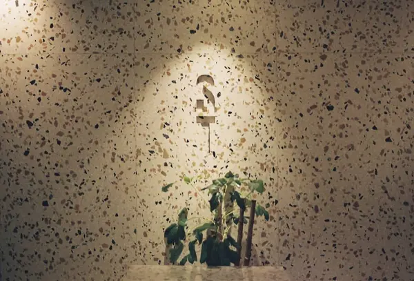 Güzel botanik fotoğrafı, doğal duvar kağıdı.