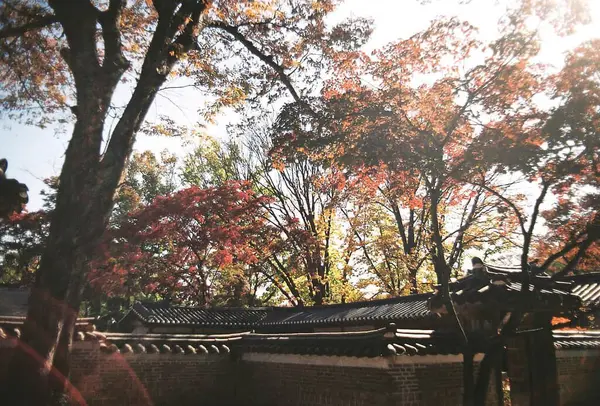 Şehirdeki sonbahar parkı