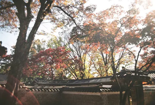 Parkın güzel manzarası