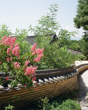 Parkın güzel manzarası