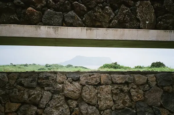 Tahta bir çitin dikey görüntüsü.