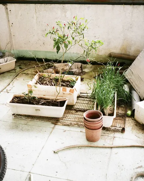 Şehirde terk edilmiş eski bir ev.