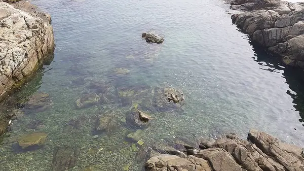 Güzel deniz manzarası. doğa arkaplanı