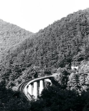 Dağları ve ağaçları olan güzel bir manzara.