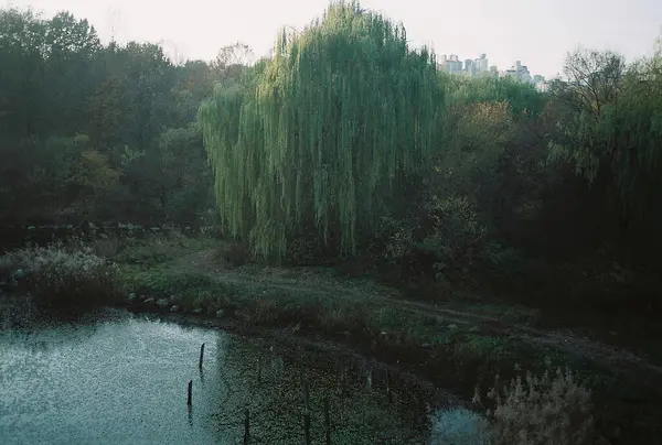 Arka planda nehir ve göl olan güzel bir manzara.