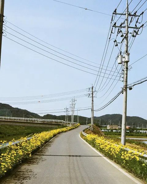 açık hava manzarasının resimsel görüntüsü