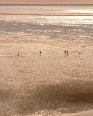 Güzel deniz manzarası