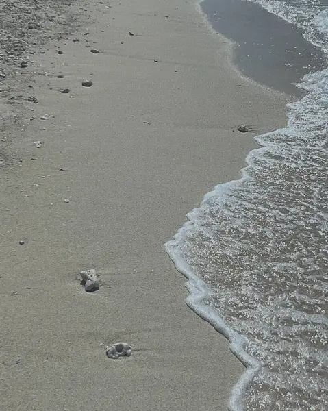 İsrail 'in kuzeyindeki Akdeniz' in kumlarında ayak izleri.