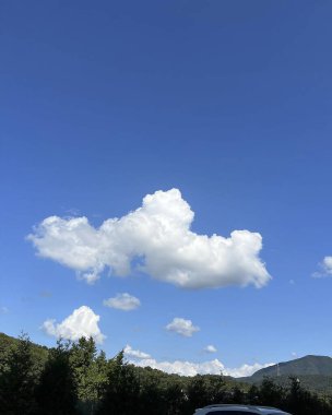 Ağacı ve mavi gökyüzü olan güzel bir manzara.