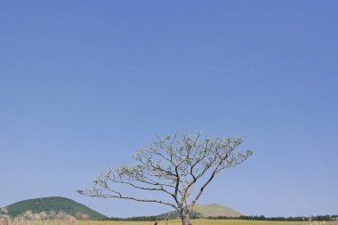 Dağların güzel manzarası