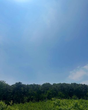 Doğanın güzel manzarası