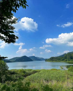 Nehir ve gölü olan güzel bir manzara.